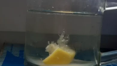 Photo of Мокко с клубникой: летний напиток